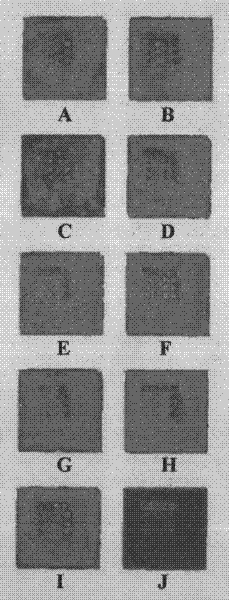 Preparation and application of vaccine immunity effect evaluation protein chip