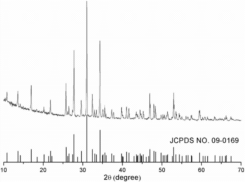 Method for preparing nano beta-TCP powder through macromolecular network gelling method and nano beta-TCP powder