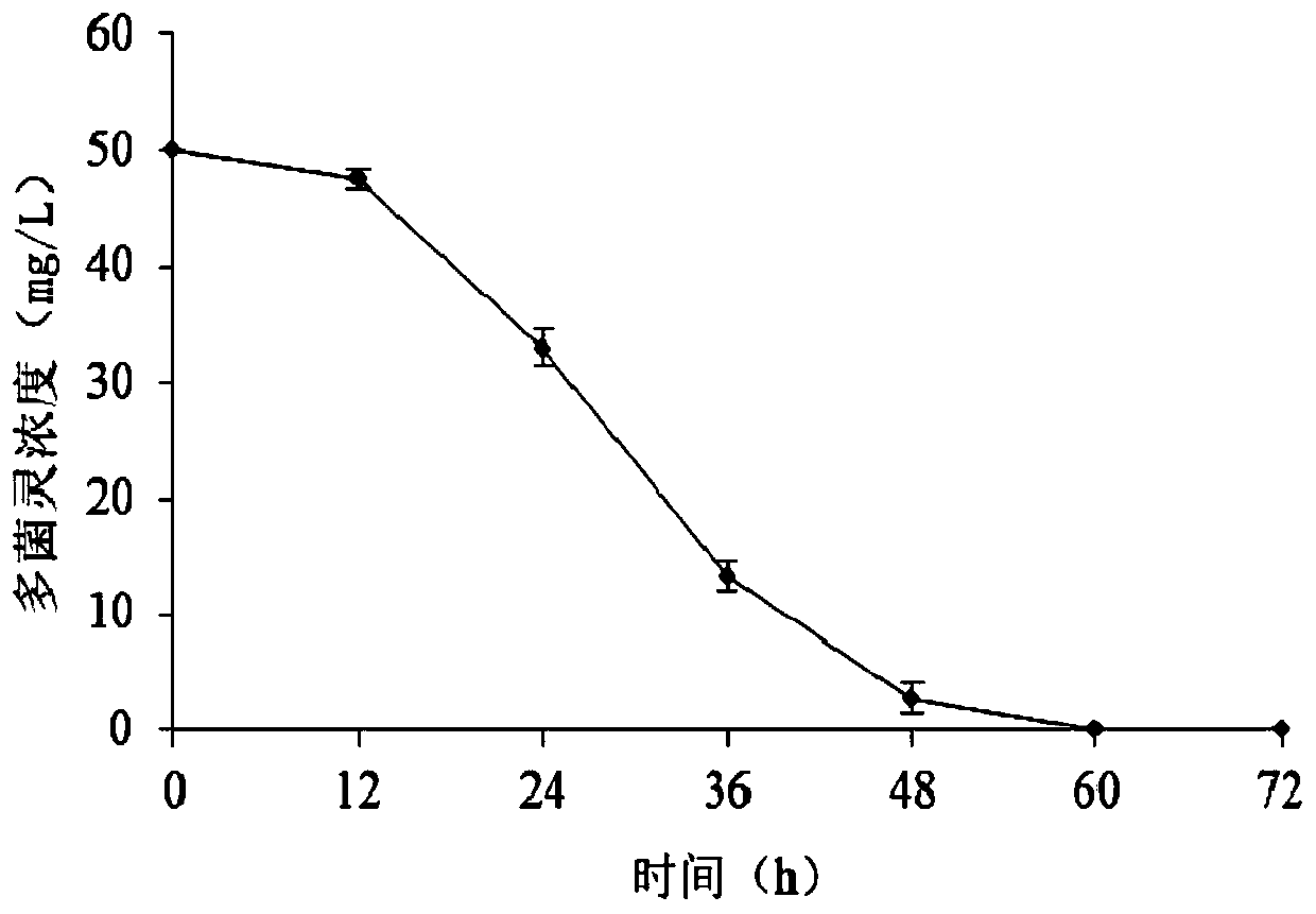 Protective agent for carbendazim degrading bacteria, and preparation method and application thereof