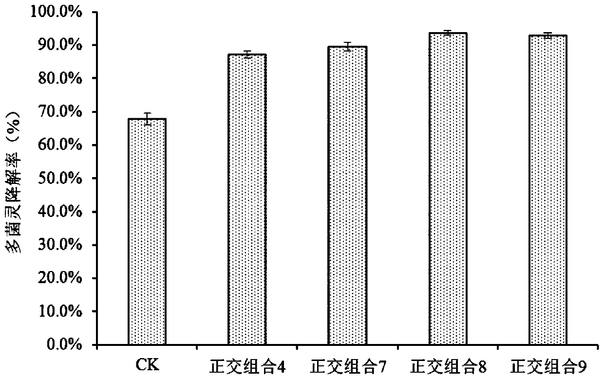 Protective agent for carbendazim degrading bacteria, and preparation method and application thereof