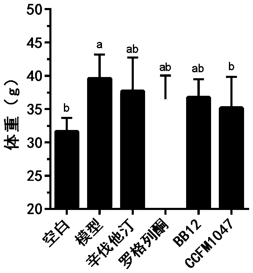 Bifidobacterium pseudocatenulatum CCFM1047, composition, fermented food, application and bacterial agent of bifidobacterium pseudocatenulatum CCFM1047 and preparation method of bacterial agent of bifidobacterium pseudocatenulatum CCFM1047