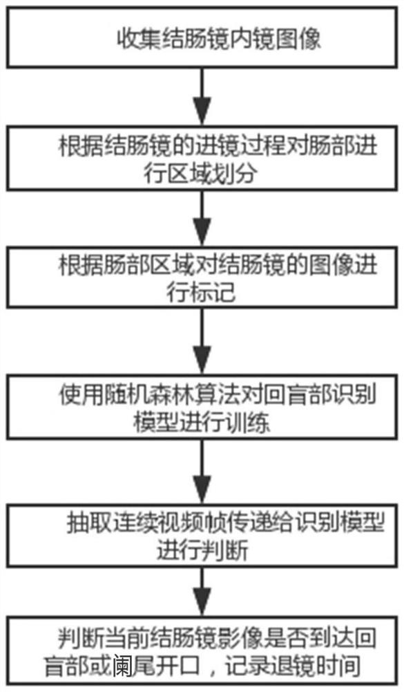 Real-time monitoring method for enteroscope withdrawal time based on random forest algorithm