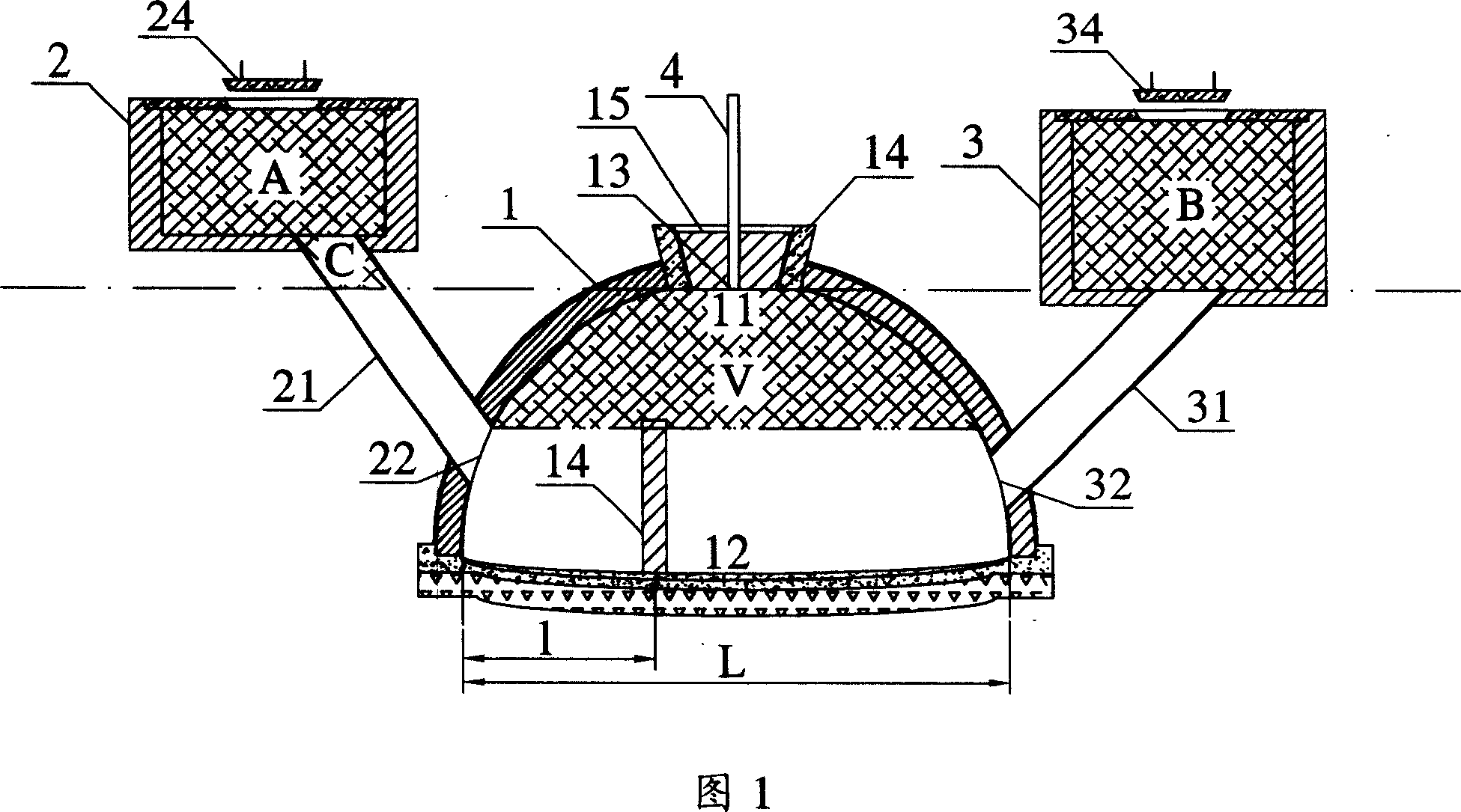 Biomass pool and automatic slagoff method for the same