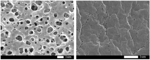 Hydrophilic modification method of high-flux PVDF porous membrane