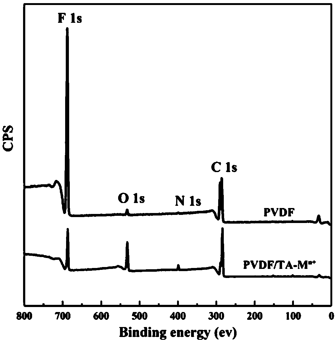 Hydrophilic modification method of high-flux PVDF porous membrane