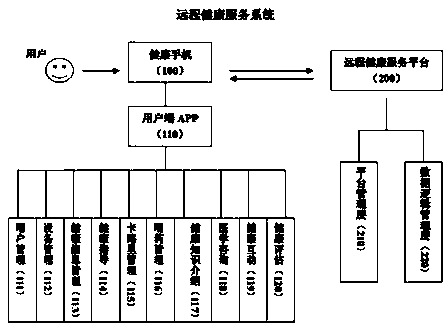 Personal remote health service system