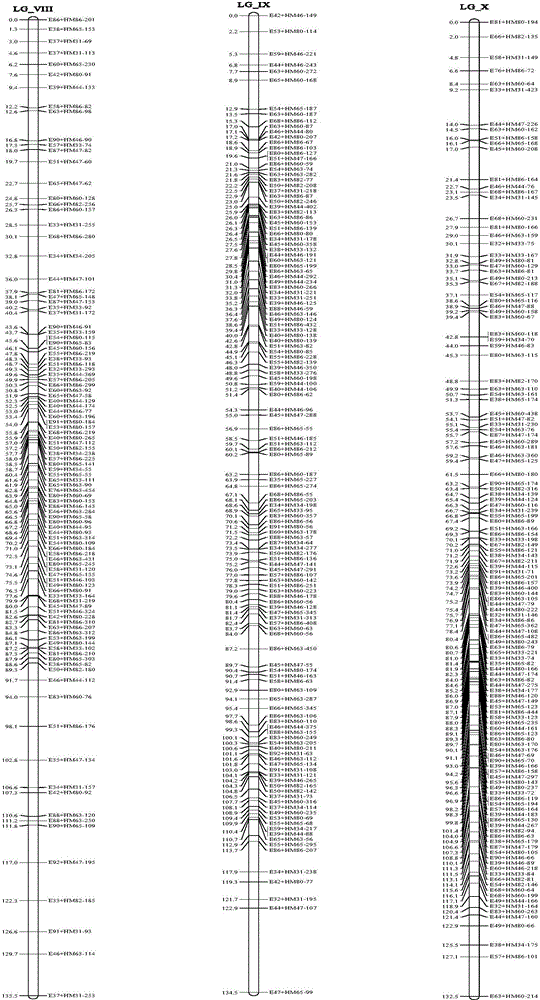 Construction method for forest-tree genome DNA (deoxyribonucleic acid) methylation inheritance linkage maps