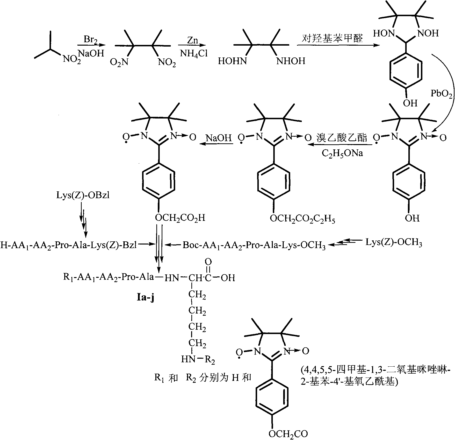 Oligopeptide with thrombolysis activity, preparation method and application thereof