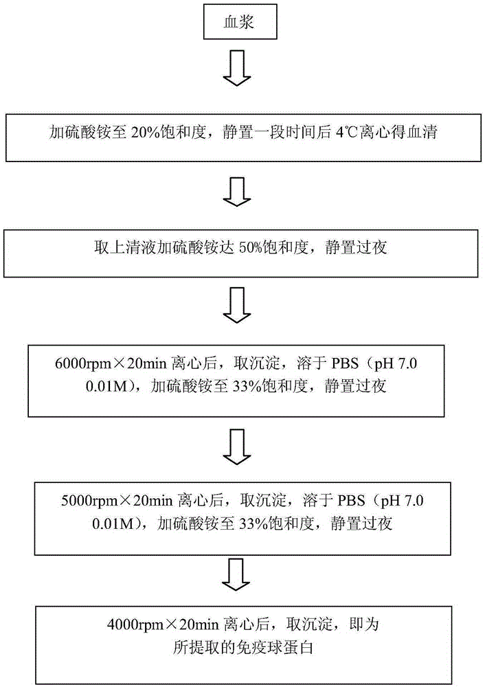 Sheep blood IgG extract product and application thereof