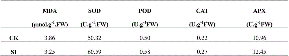 A compound preparation for improving heat resistance of crops and its preparation method and application