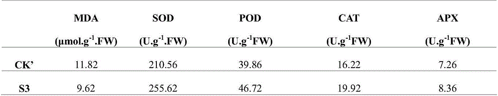 A compound preparation for improving heat resistance of crops and its preparation method and application