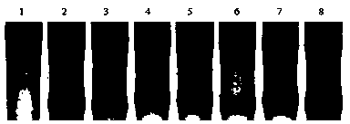 A rapid aggregation breeding method for multi-objective traits of high-quality broilers