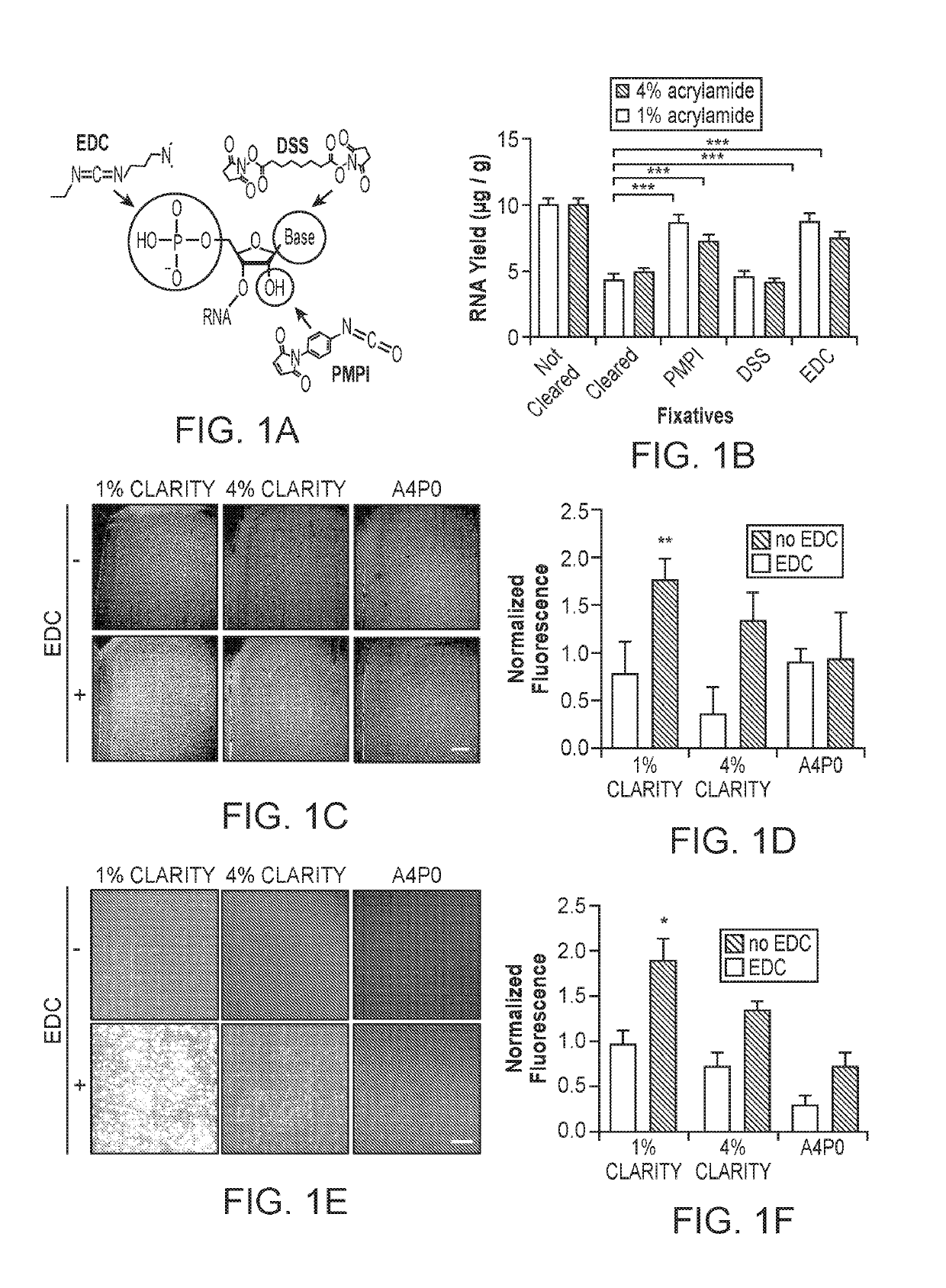 RNA Fixation and Detection in CLARITY-based Hydrogel Tissue