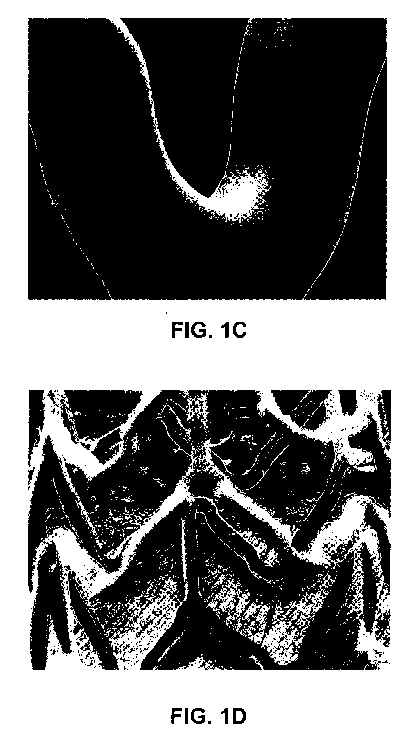 Coatings for implantable medical devices comprising hydrophilic substances and methods for fabricating the same