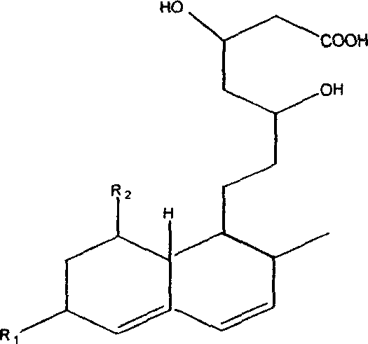 Monascus novel strain and traditional Chinese medicine monascus prepared by fermenting the same