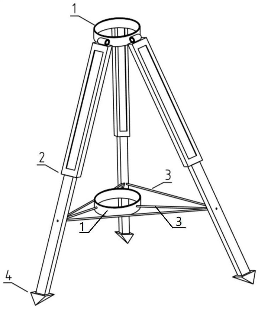 Stereotyped seedling fixing device and method