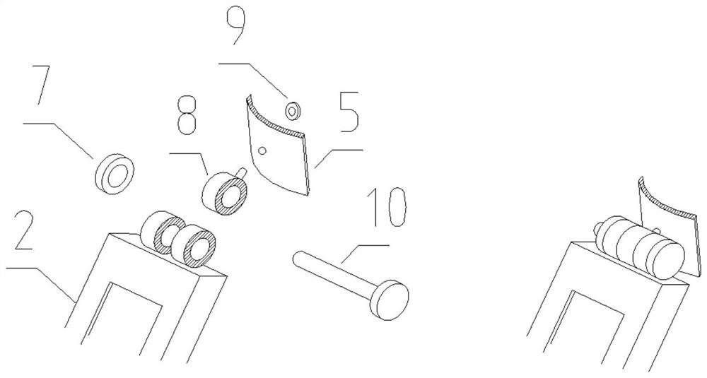 Stereotyped seedling fixing device and method