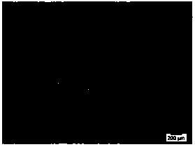 Simple floc collection device able to maintain floc integrity