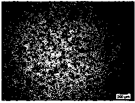 Simple floc collection device able to maintain floc integrity