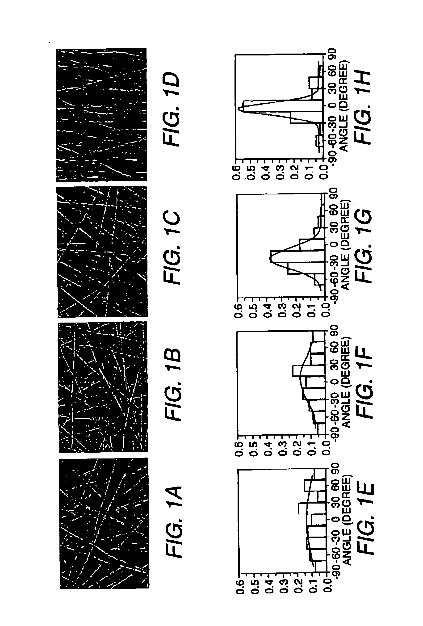 Aligned scaffolding system for skeletal muscle regeneration