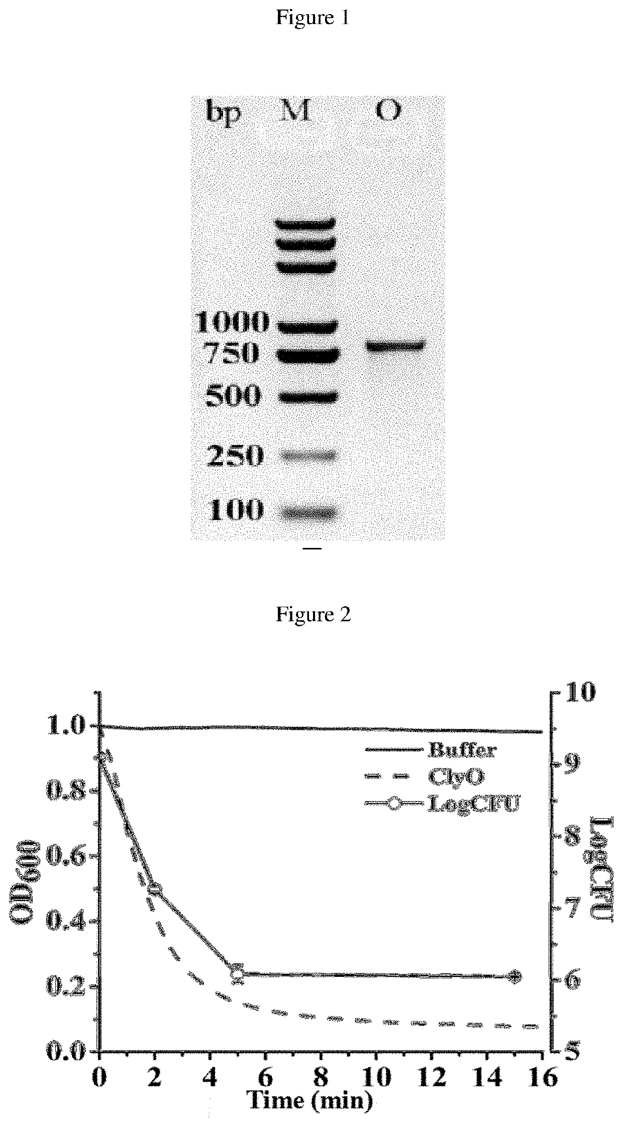 Staphylococcus lysin and use thereof