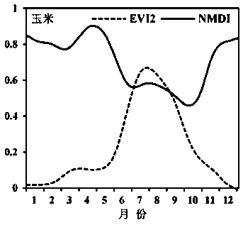 Maize automatic mapping method based on nmdi increase-decrease ratio index in peak growth period