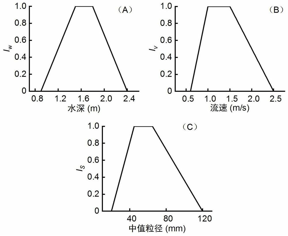 Branch alternative habitat construction method based on dam dismantling and local micro-landform manual intervention