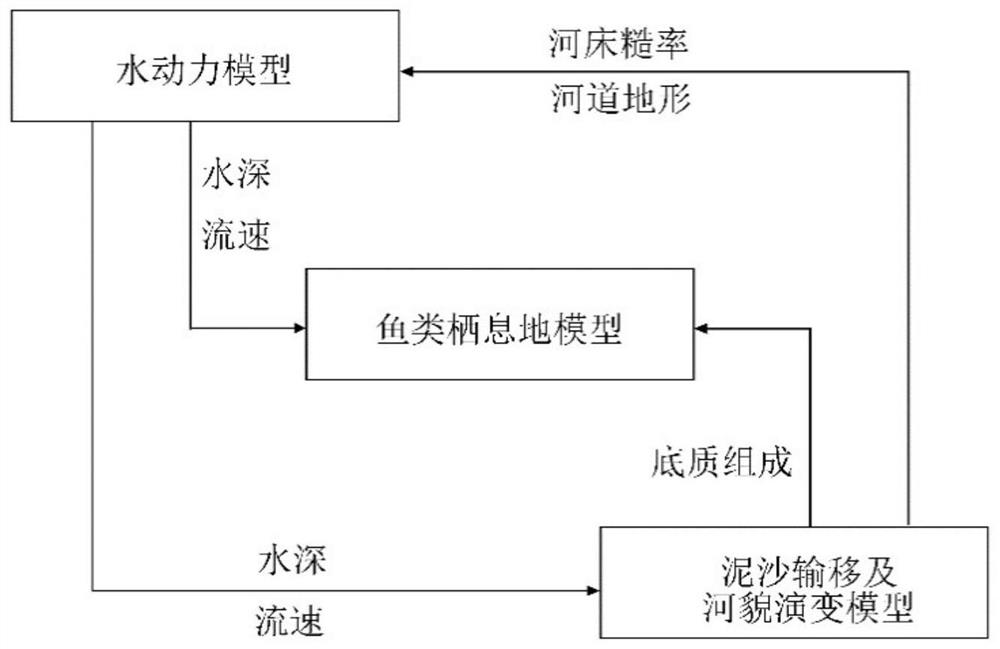 Branch alternative habitat construction method based on dam dismantling and local micro-landform manual intervention