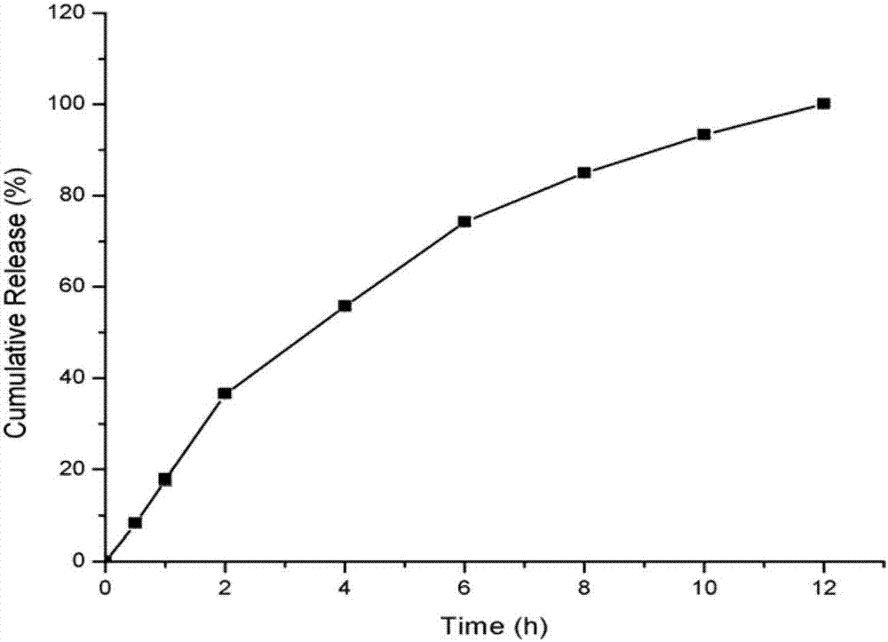 Ibuprofen and phenylephrine hydrochloride-containing double-layer medicinal composition and preparation method thereof