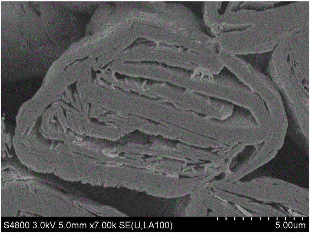 Graphite negative electrode material, preparation method and lithium ion battery