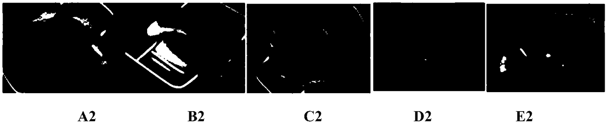 Eye drops containing canine mesenchymal stem cell factor and preparation method thereof