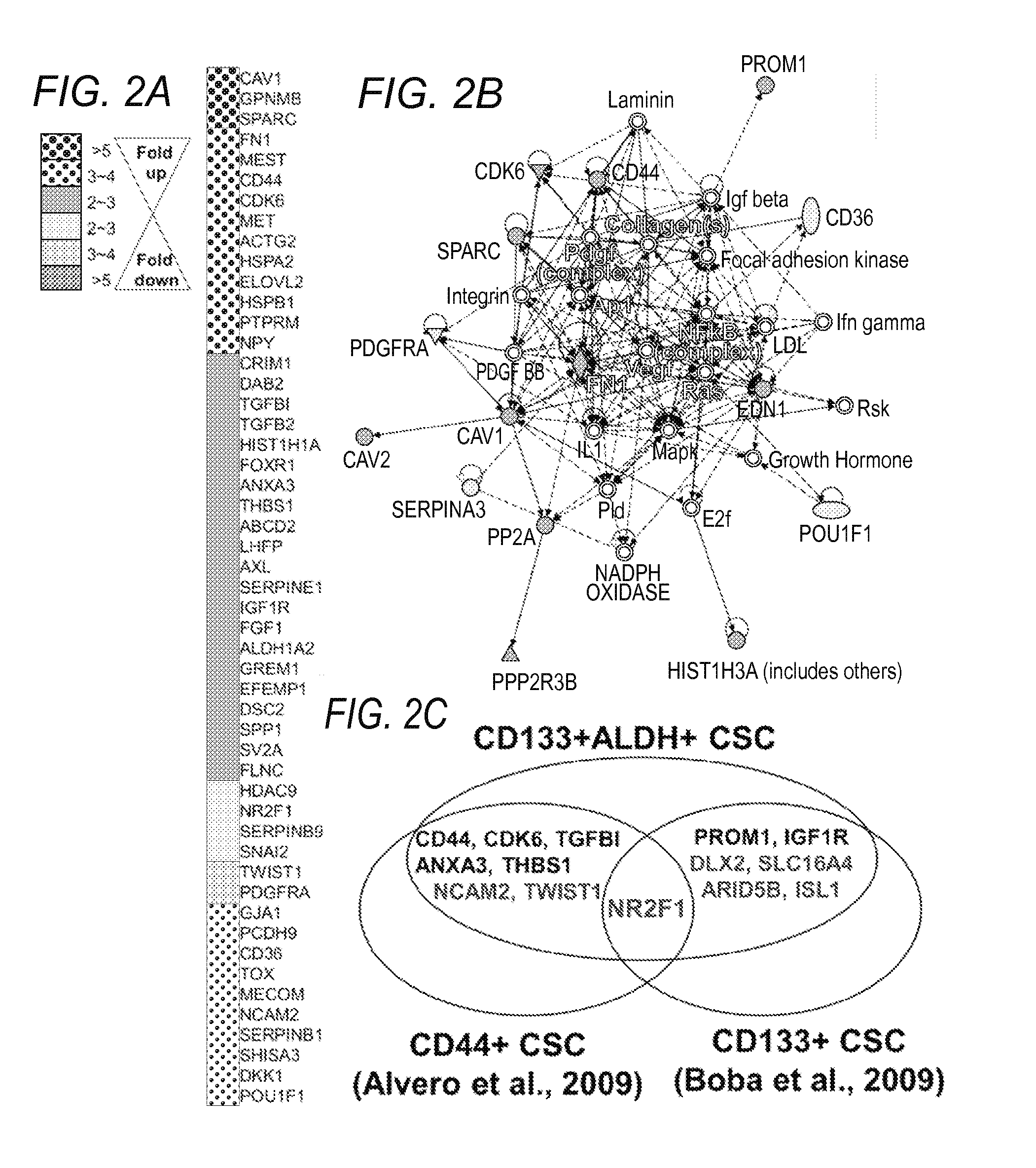 Molecular signatures of ovarian cancer