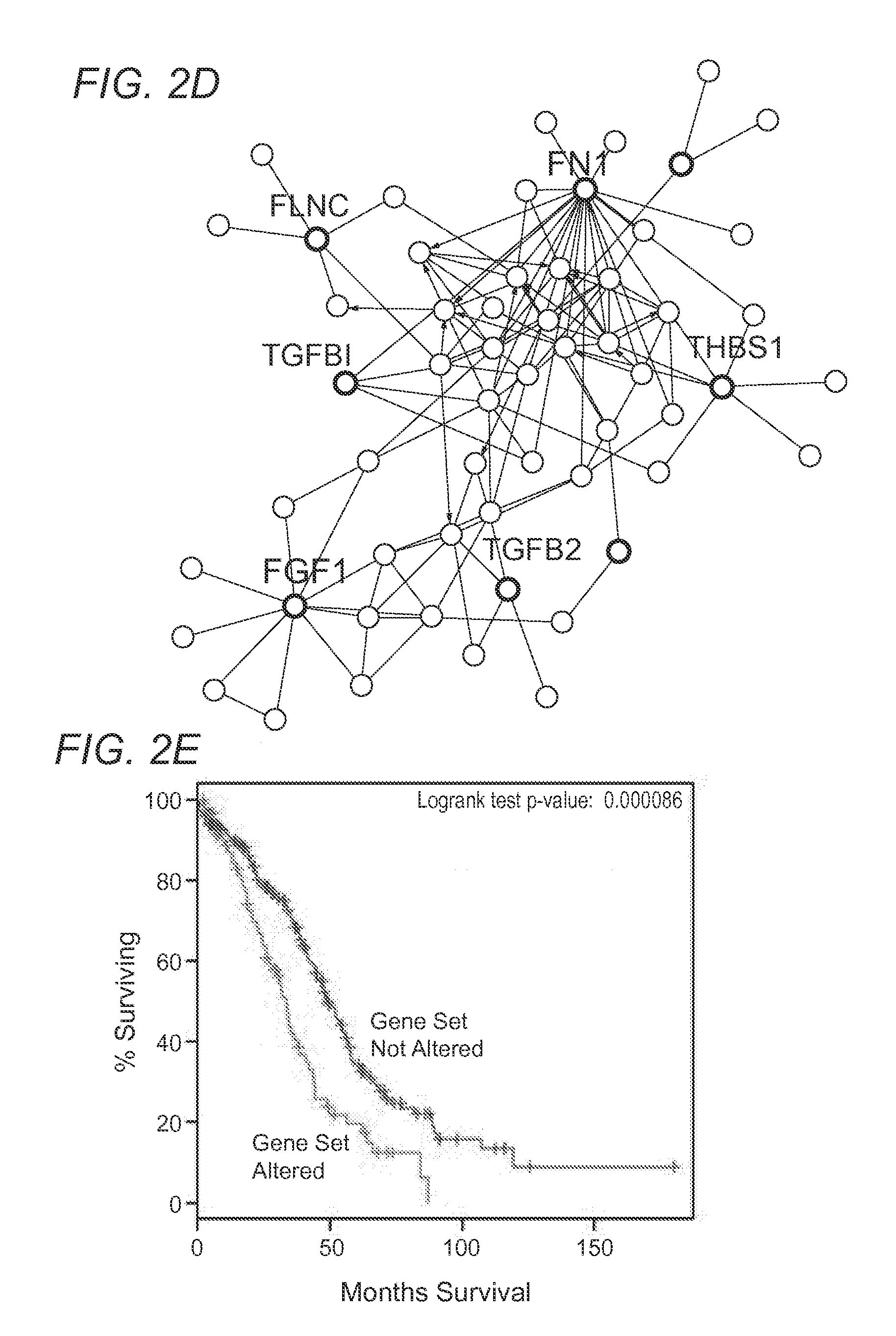 Molecular signatures of ovarian cancer