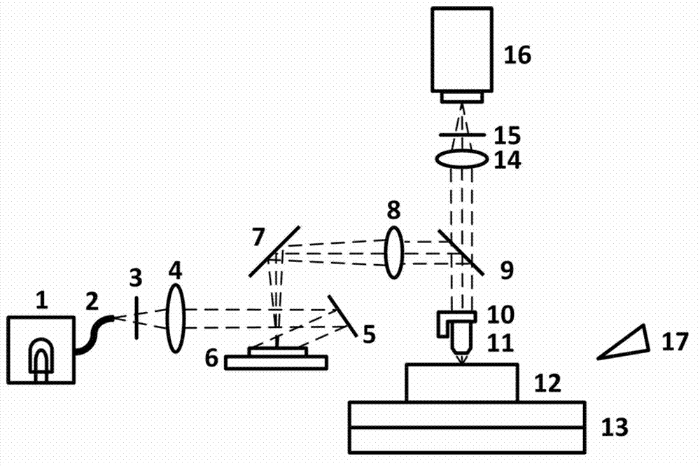 Method and system for rapidly three-dimensionally microimaging large sample