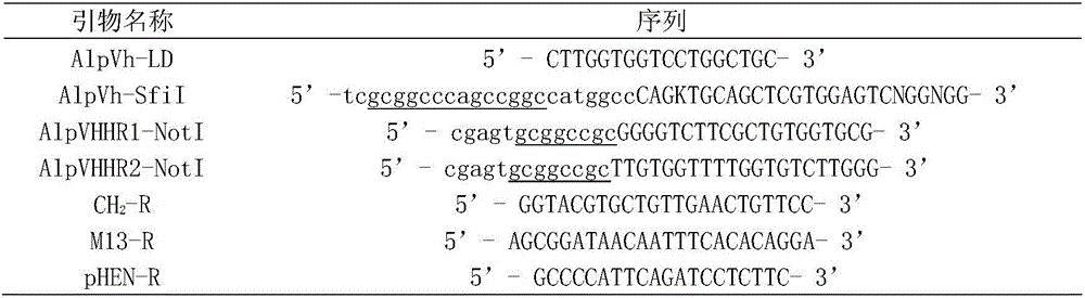 Nanobody capable of being specifically bound with c-Myc tag