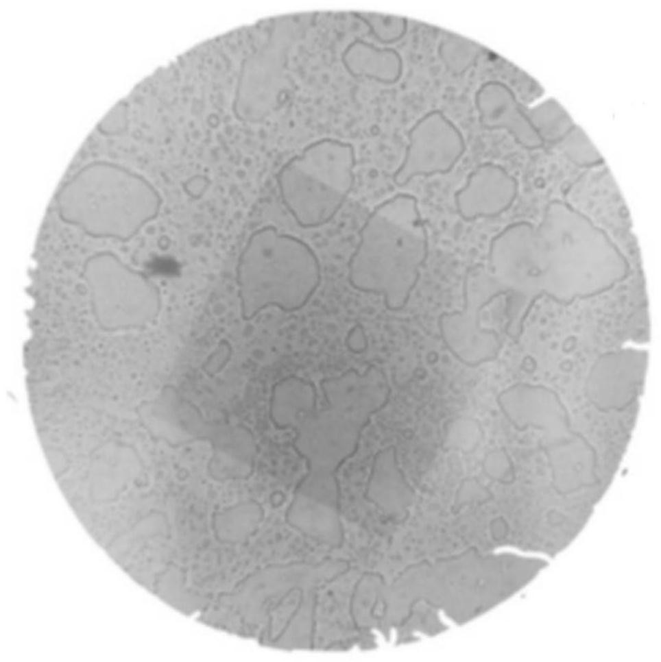 Novel high-adhesion environment-friendly pesticide adjuvant as well as application and preparation method thereof