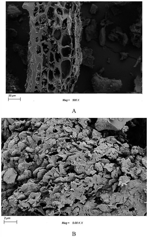 Modifier for conditioning acidic selenium-rich high-cadmium soil and preparation method thereof