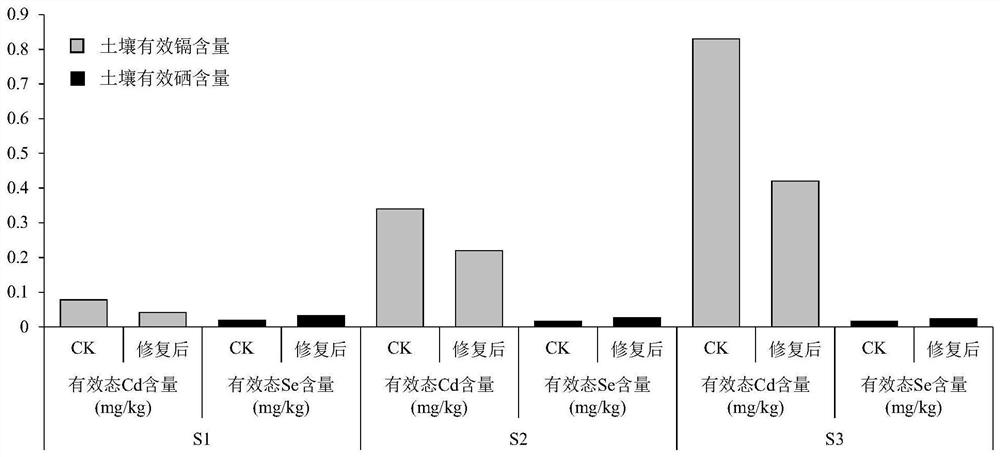 Modifier for conditioning acidic selenium-rich high-cadmium soil and preparation method thereof