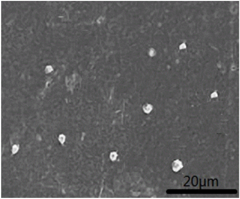 Polyester type polyurethane material with side chain containing phosphorylcholine group and preparation method thereof