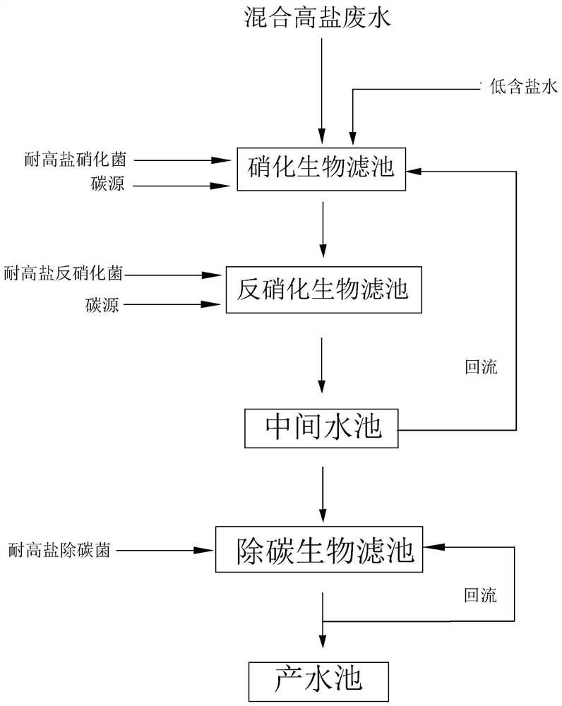 A method for promoting rapid start-up of denitrification and decarbonization system by using high-salt-tolerant strains