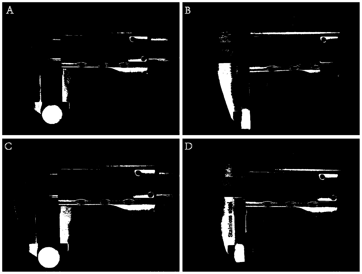 3D stent for constructing in-vitro tumor model and preparation method and application of 3D stent