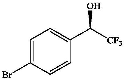 Coxakia rhizotrophis ZJPH202011 and application thereof