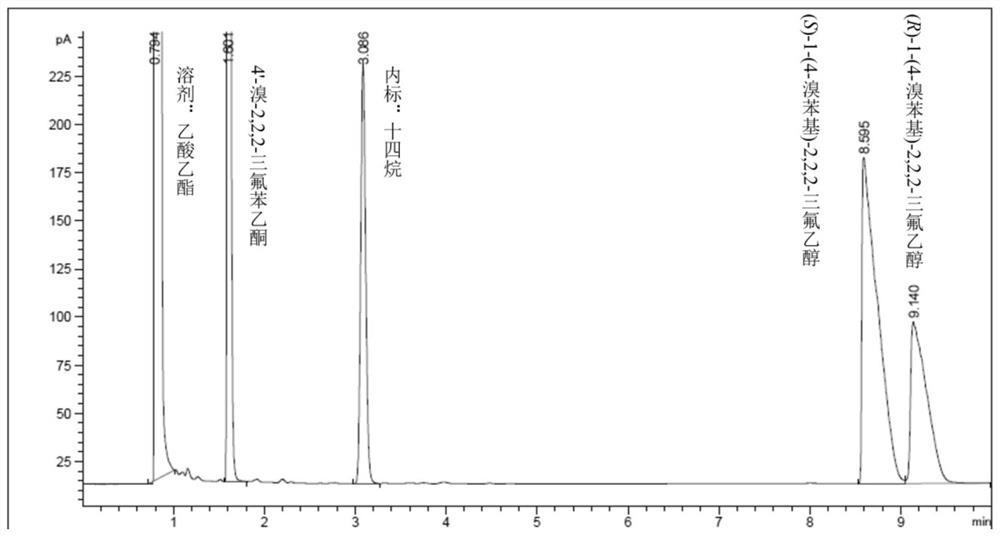 Coxakia rhizotrophis ZJPH202011 and application thereof