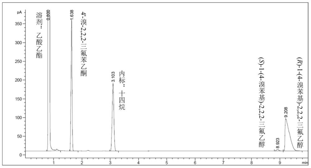 Coxakia rhizotrophis ZJPH202011 and application thereof