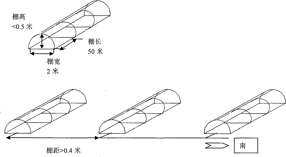 Lawn protecting method adaptive to climatic change in high frigid grassland regions