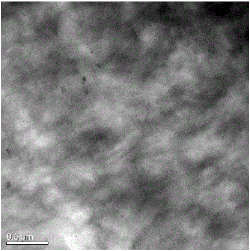 Polyolefin graphene nanocomposite material, and preparation method thereof