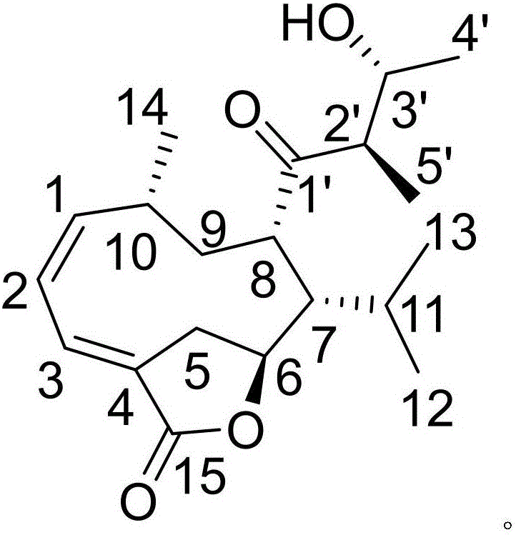 Pharmaceutical composition of amoxicillin and medical application of pharmaceutical composition