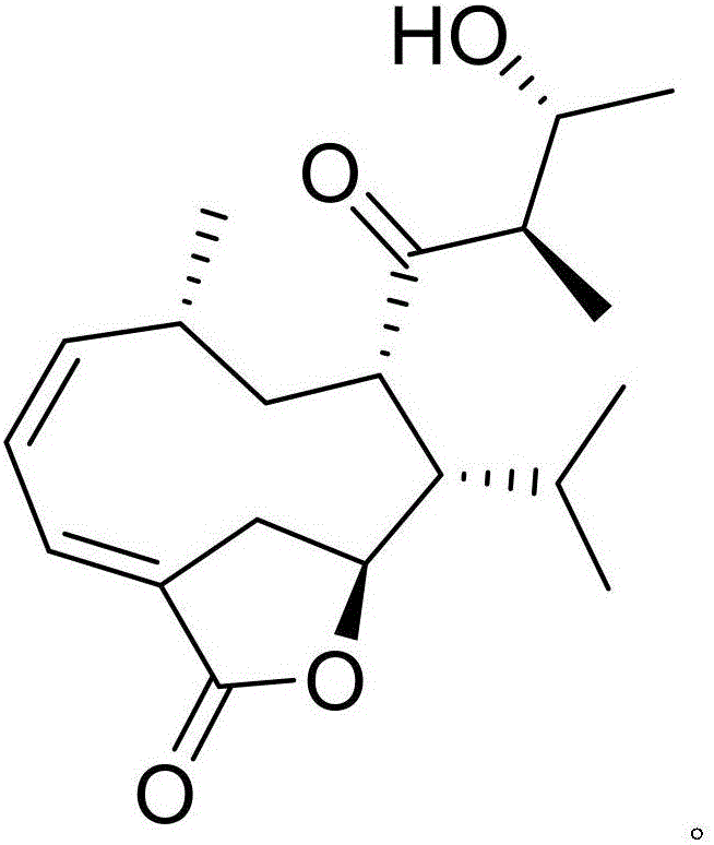 Pharmaceutical composition of amoxicillin and medical application of pharmaceutical composition