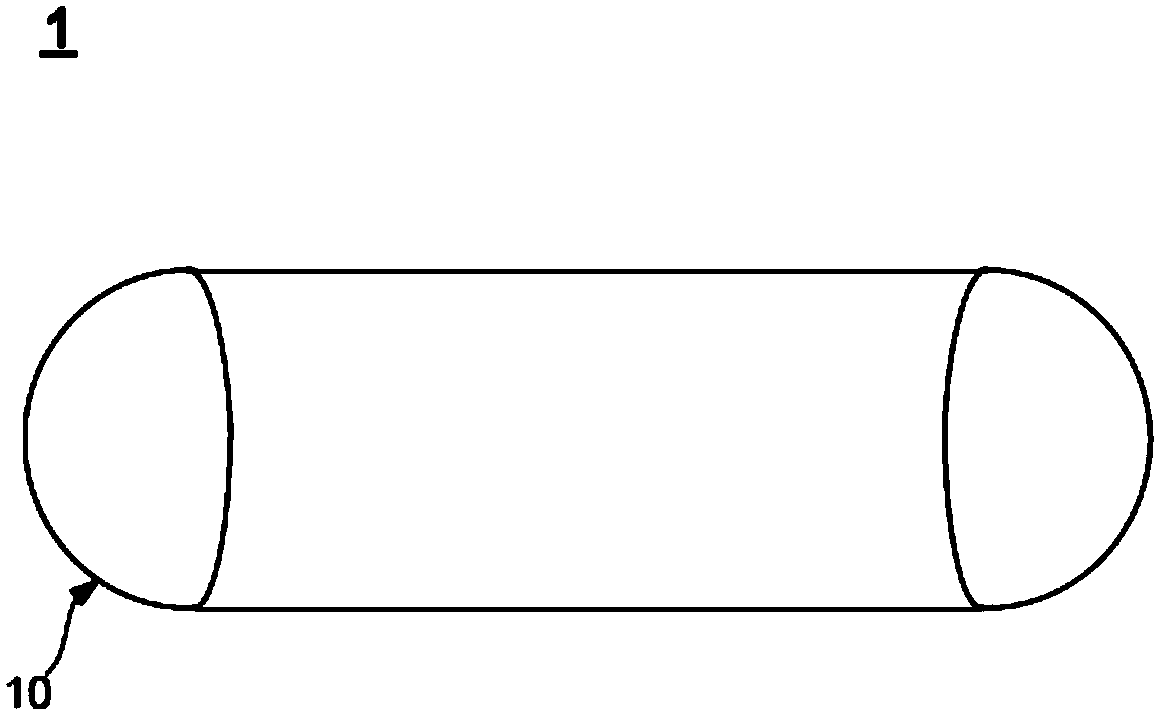 Vegetarian composition containing unsaturated fat acids