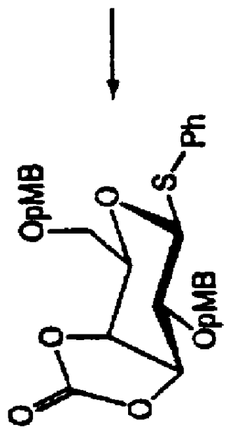 Sulfinyl hexose derivatives useful for glycosylation